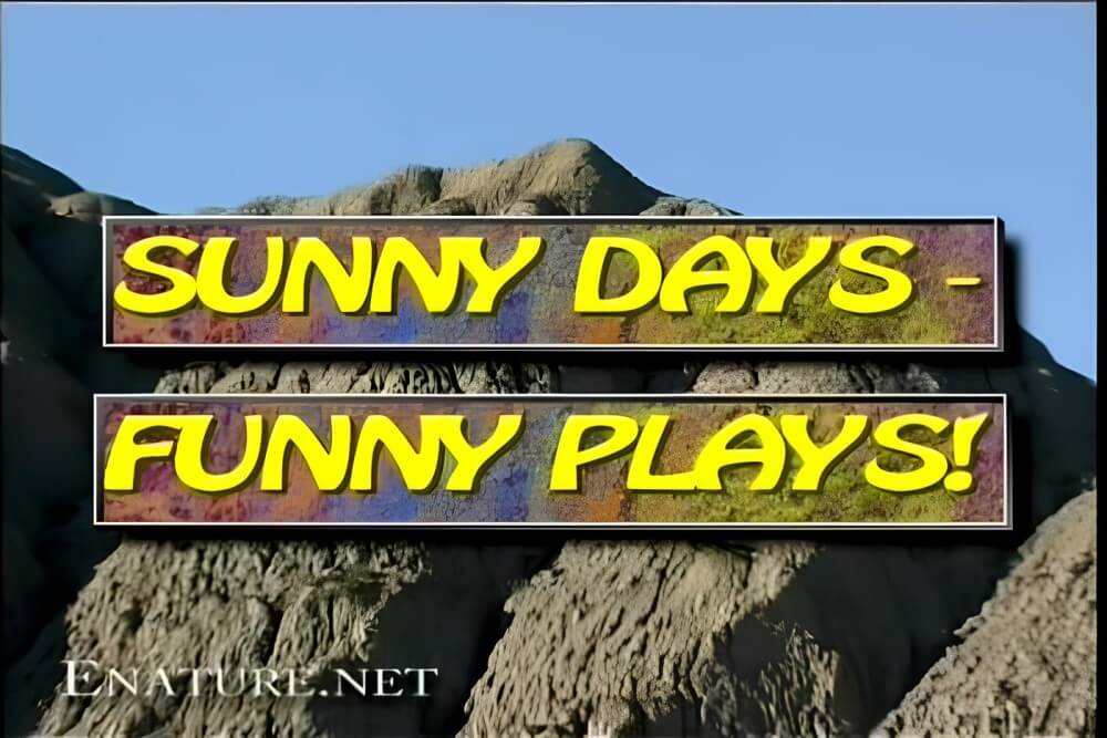 Enature - Sunny Days – Funny Plays - Nudity fosters trust and mutual understanding among people