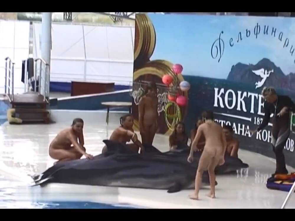 Relaxing at the dolphinarium - Lightheartedness and ease are characteristic features of the practice of nudism and naturism